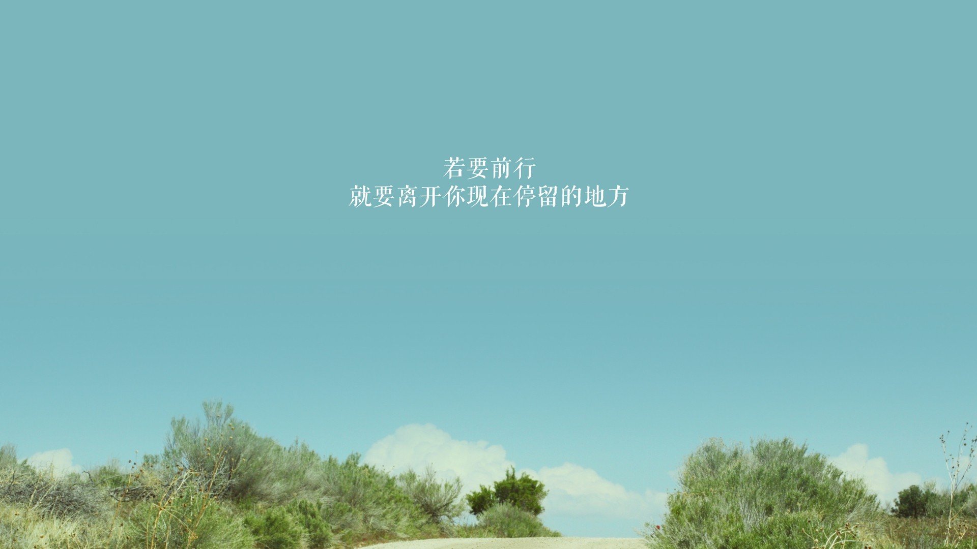 随机Aster积分排名领先赛区，nest积分榜