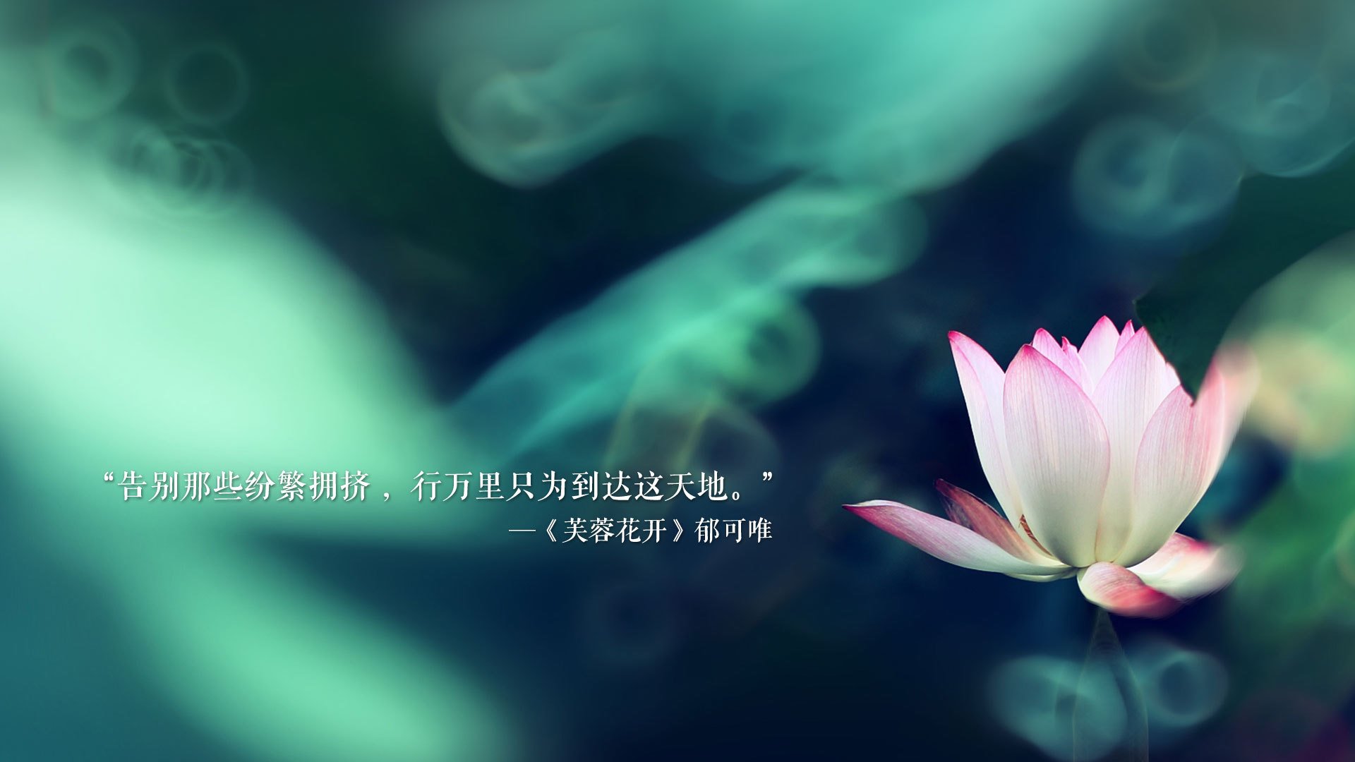 随机挑战巅峰！球迷热切期待冠军之争，热火冠军球员