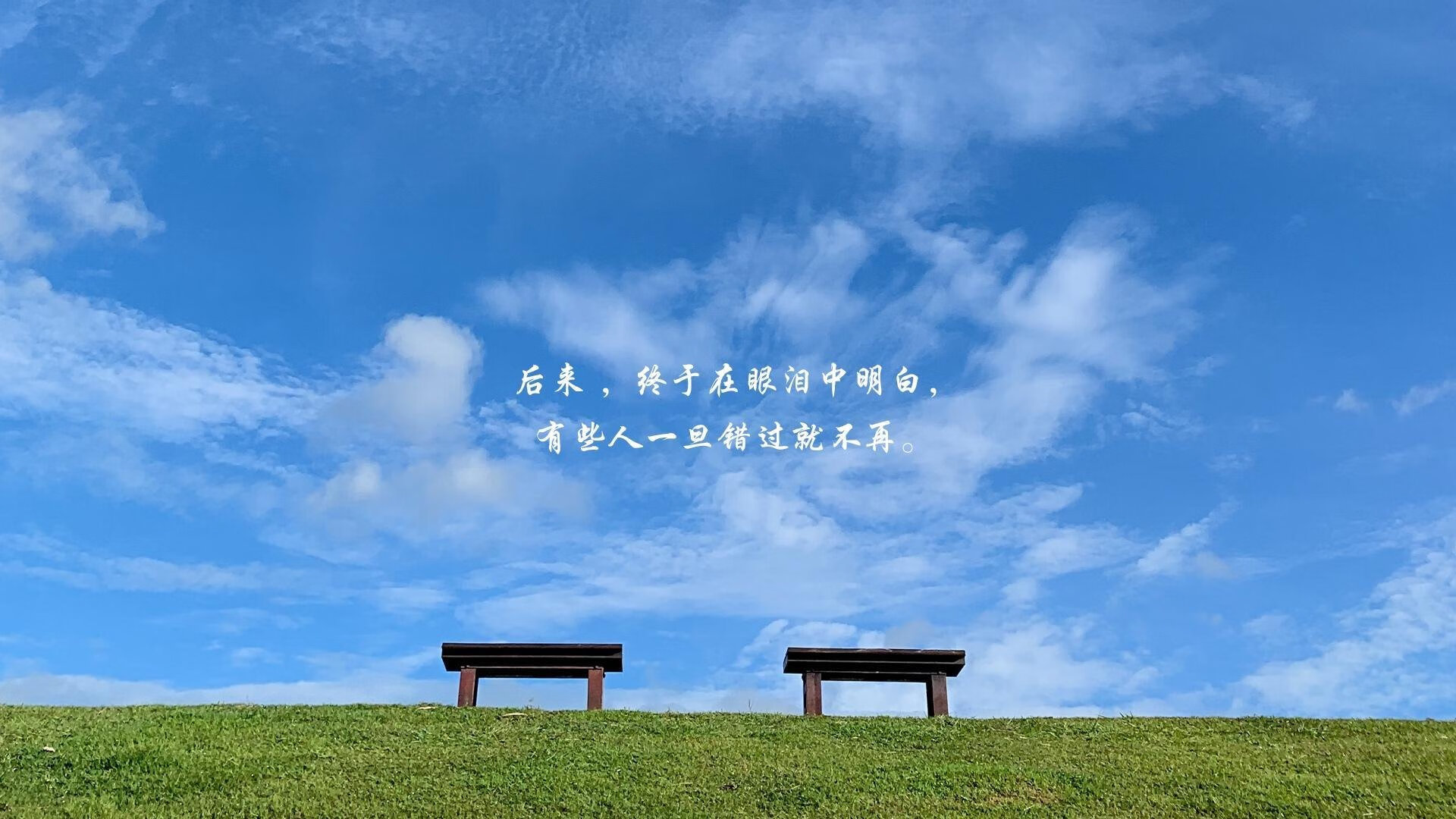 全国青少年马拉松赛掀起全民参与热潮，全国青少年马术锦标赛