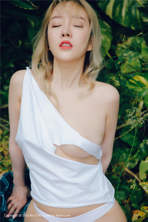 高校运动训练信息管理平台的开发与应用探索，运动训练管理系统要素包括哪些方面