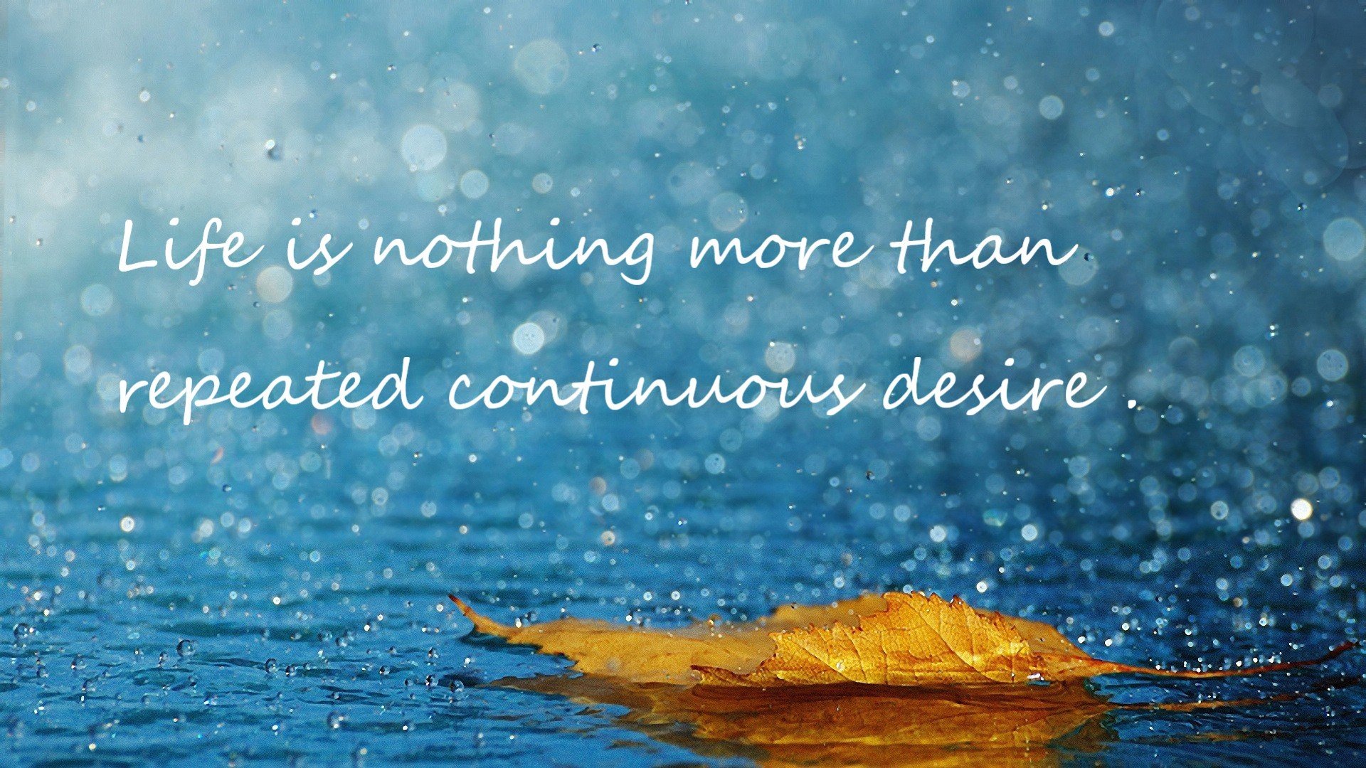 中国香港队未来发展策略:如何借助混合团体赛提高团队凝聚力,香港队是什么意思