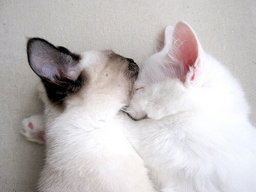 攀岩全国联赛吸引众多新面孔参赛，攀岩比赛日程