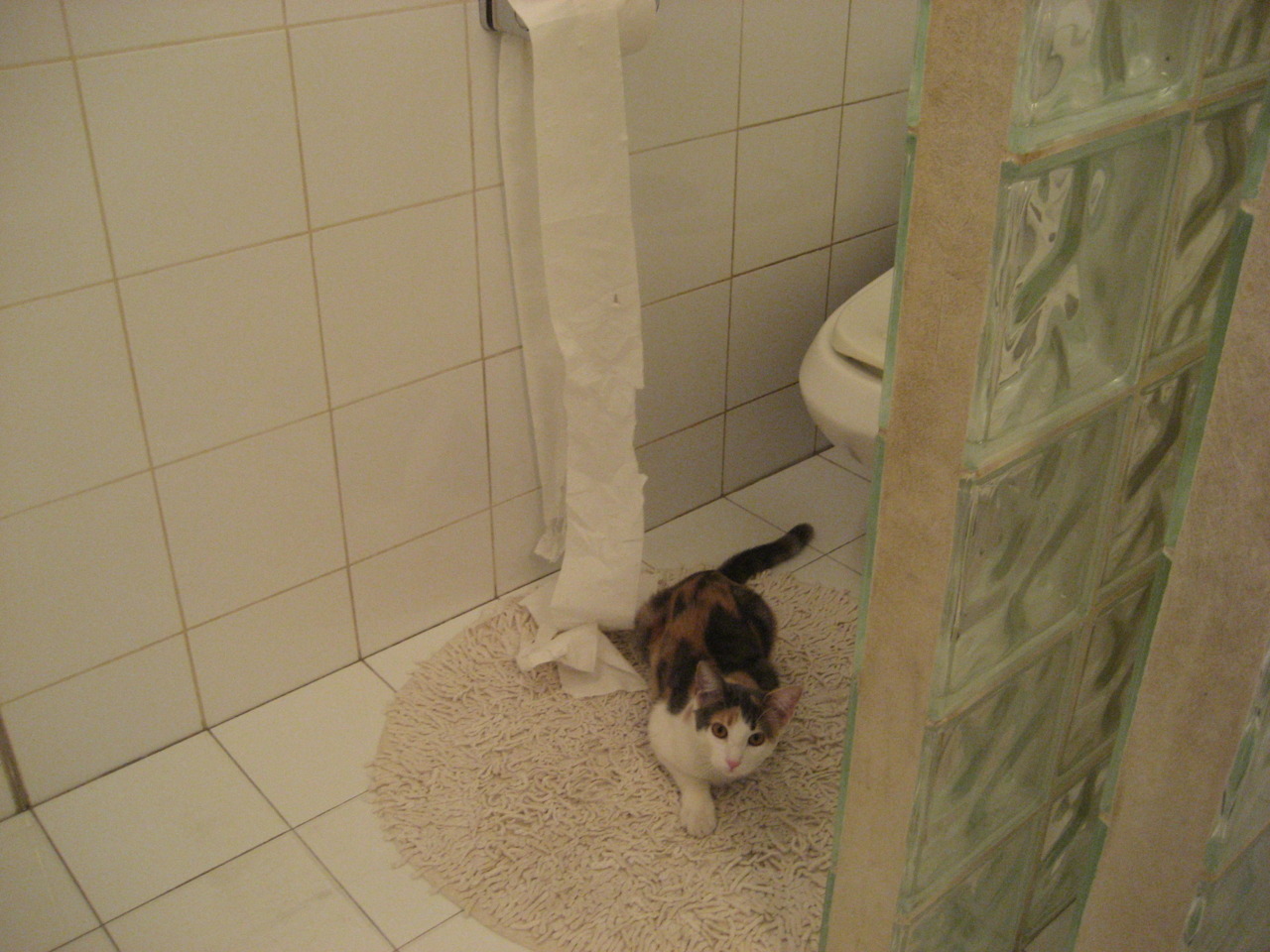 突尼斯希望队长拼劲十足激励全队，我和我的祖国电影ppt模板免费