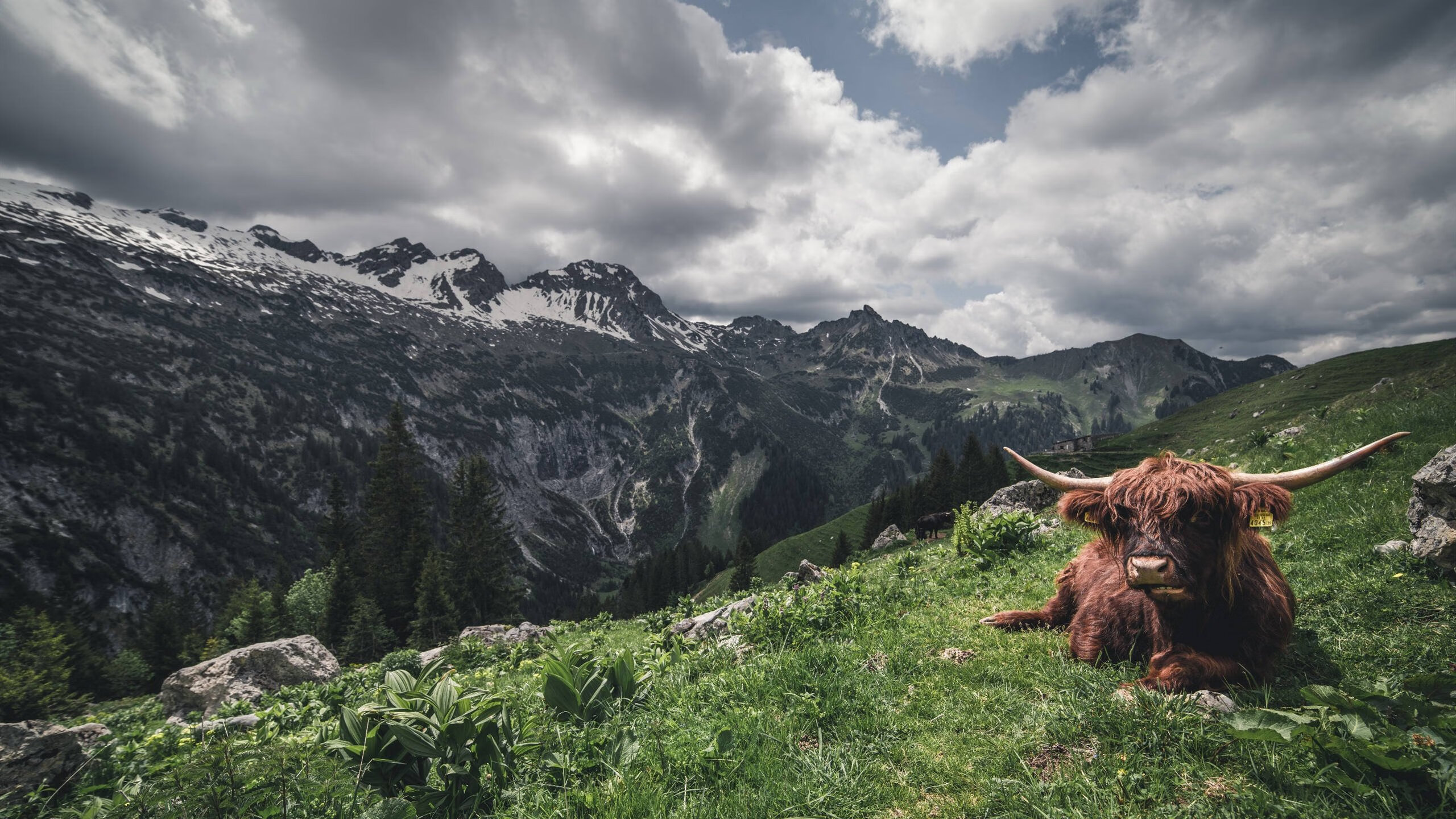 卡斯帕·科尔博男子200米蛙泳赛场新星