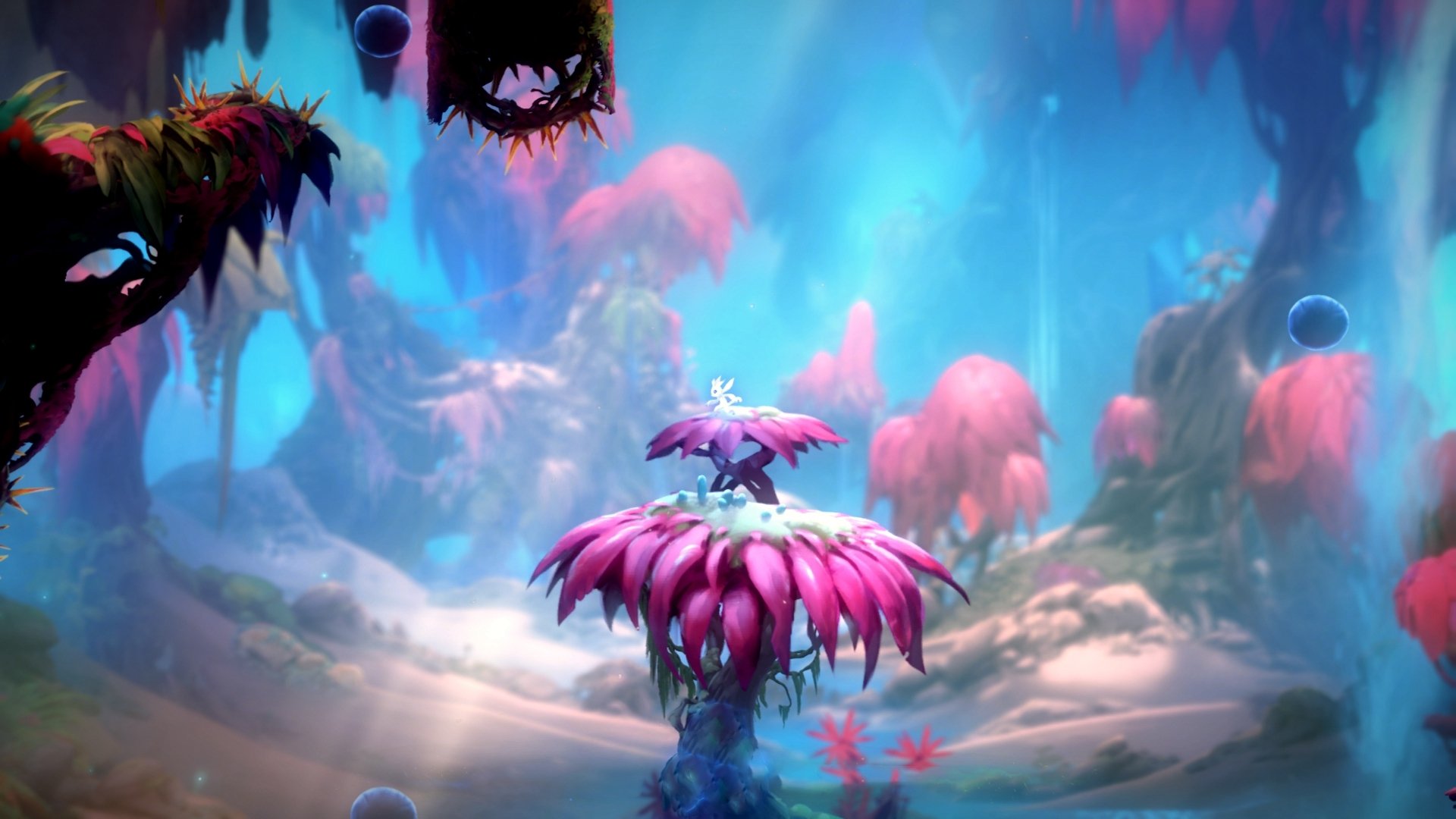 德克斯女子200米蝶泳决赛精彩纷呈，女子200米蝶泳决赛视频回放