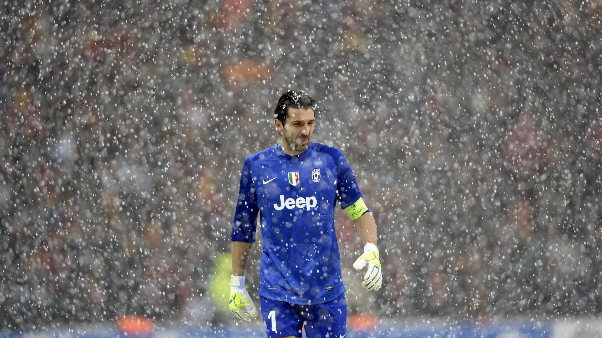 杰克·阿莱克西蝶泳比赛引粉丝刷屏