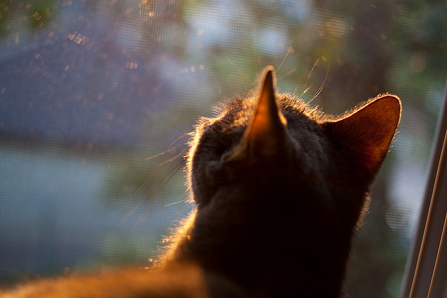 爱游戏中国官方登录入口网站-火箭安排高强度跳跃训练提升二次进攻能力，火箭漂移