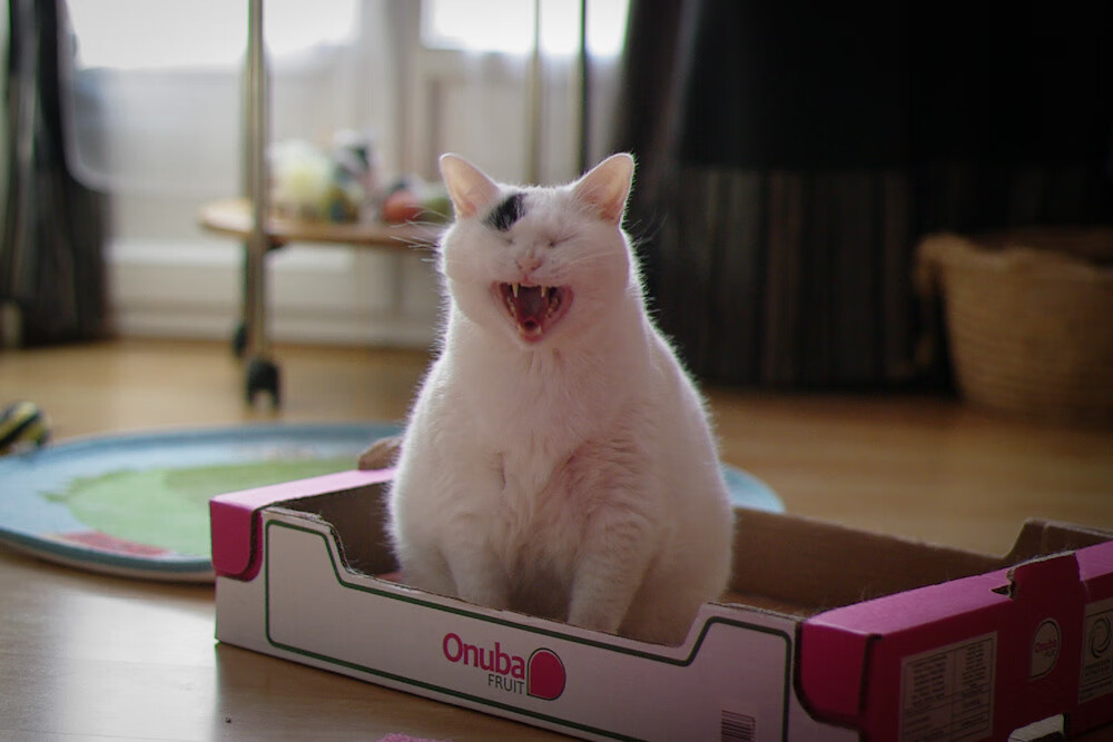 爱游戏娱乐平台-特色足球文化展览席卷全国各大城市，展现多元风采，足球文化博物馆