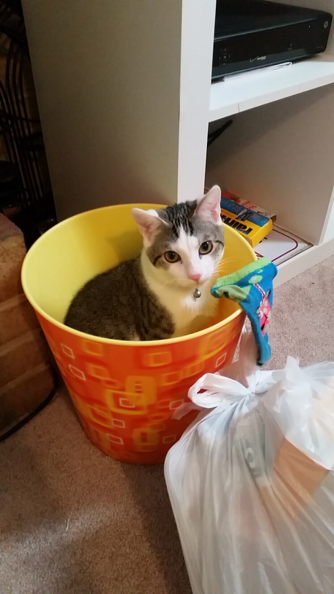 艾比·德尔福:他的坚决防守让南非队无懈可击,稳操胜券,艾比·莱德·弗特