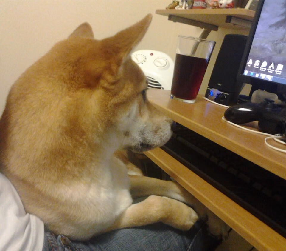 萨默·麦金托什赛后分享训练心得,麦金托什手稿